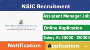 NSIC Recruitment 2025